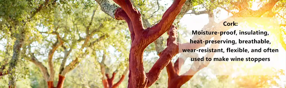 Cork Yoga Block for Pilates