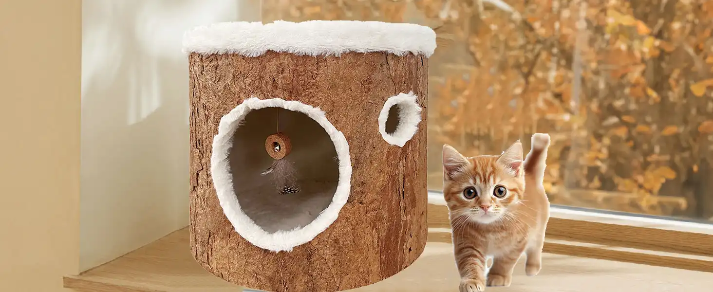 Cat Beds for Indoor Cats