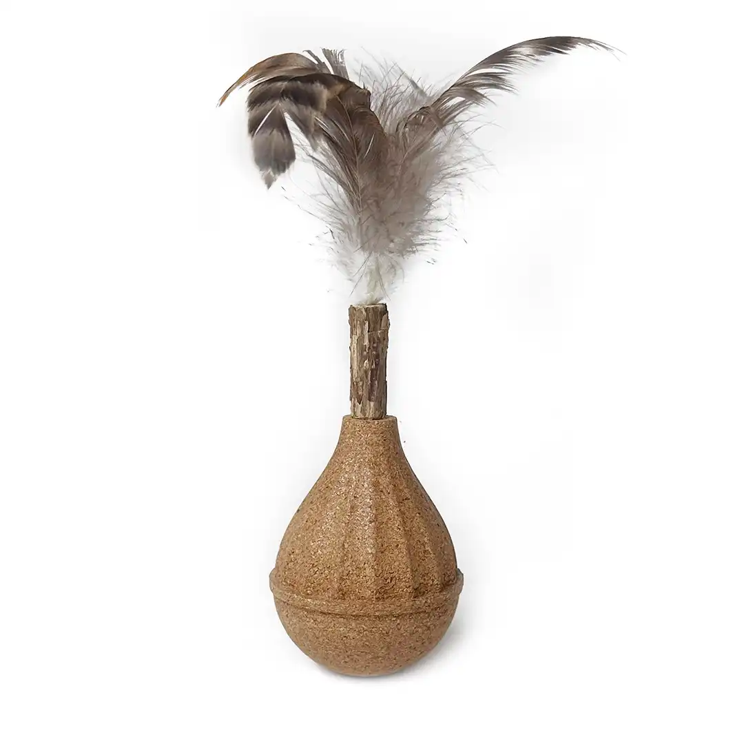 cat toys interactive