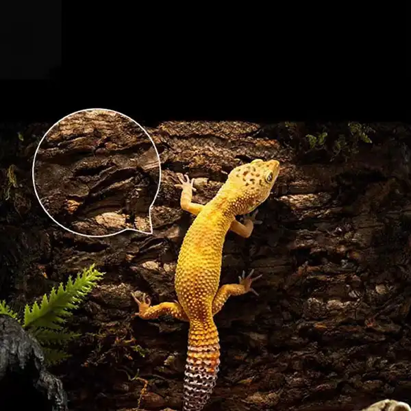 Reptile Terrarium Background