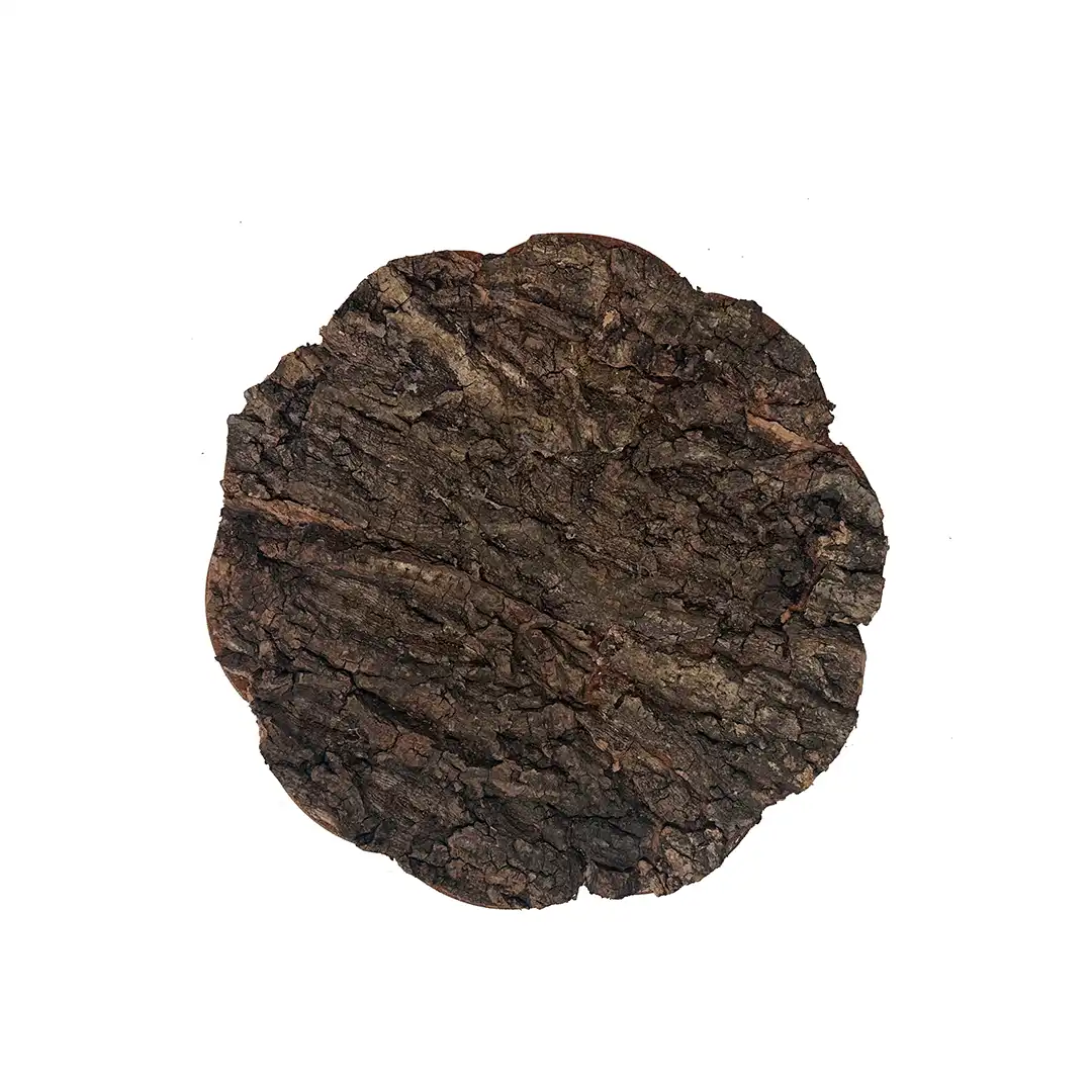 gecko natural habitat