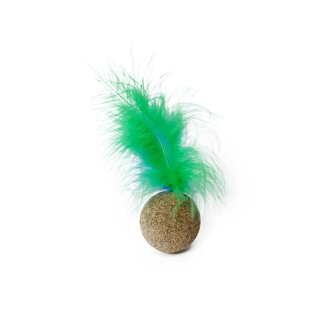 cat feather toys