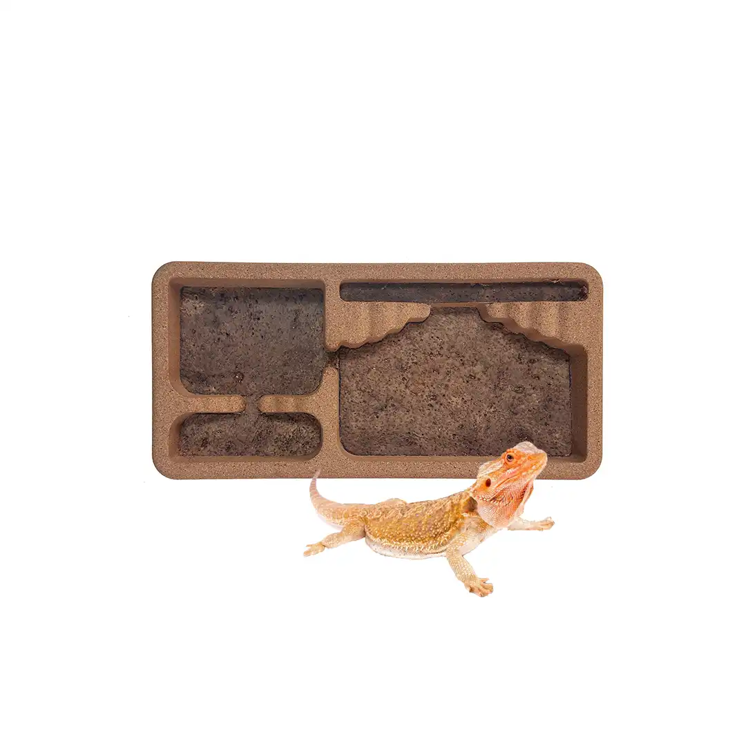 reptile habitat reptile habitat