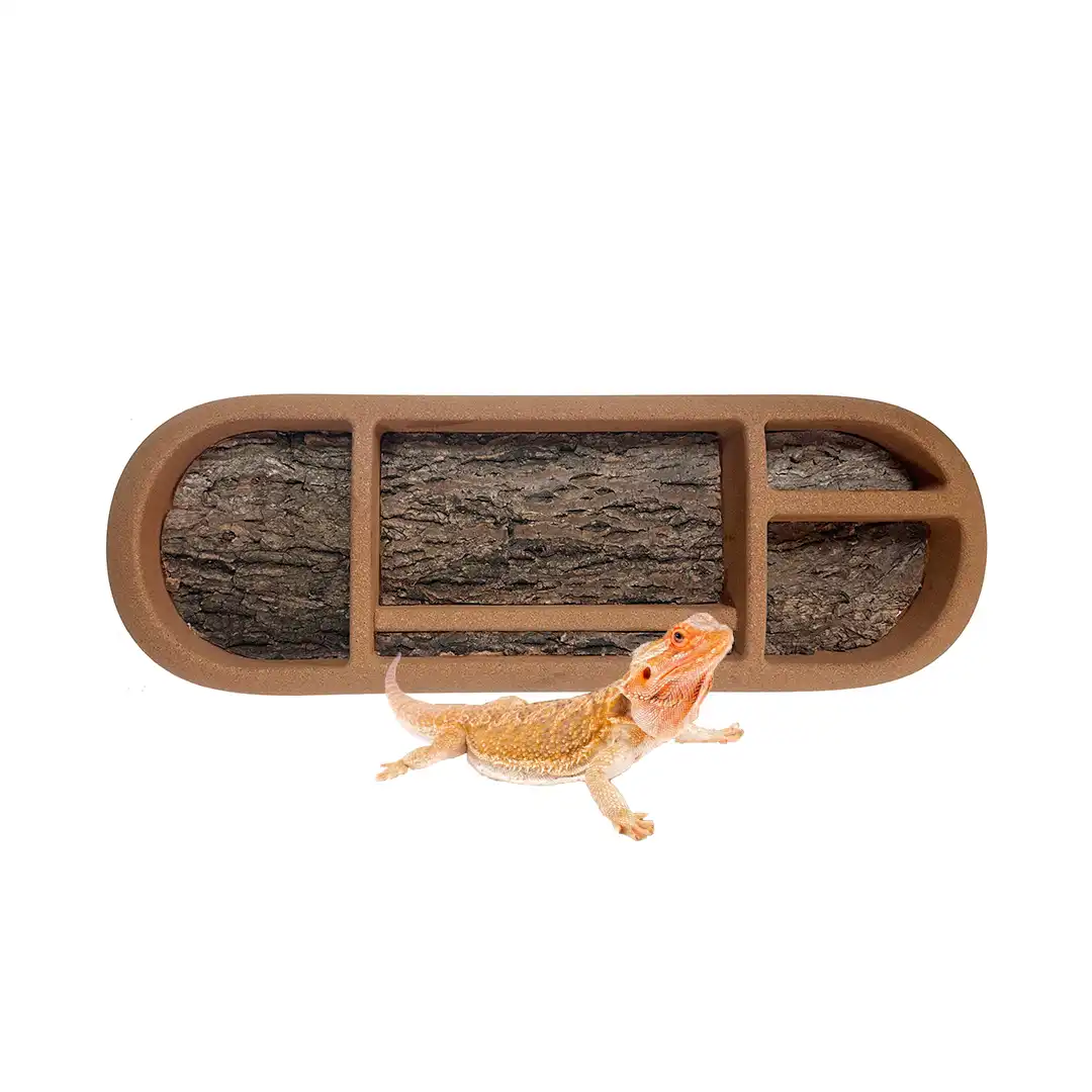 reptile natural habitats