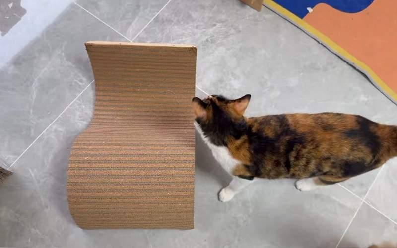 S-shaped ecofriendly cat scratching board