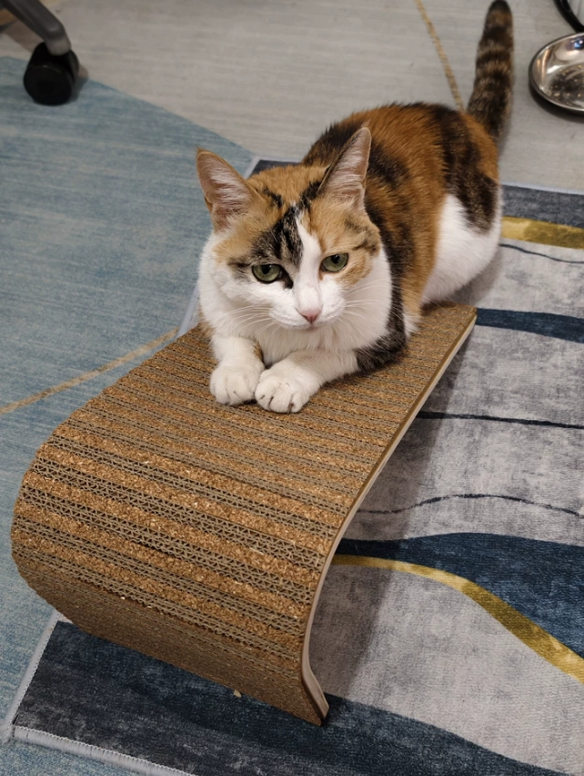 L-cat scratching ramp L-cat scratching ramp