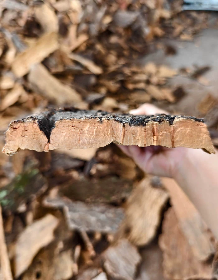 cork oka cork oka